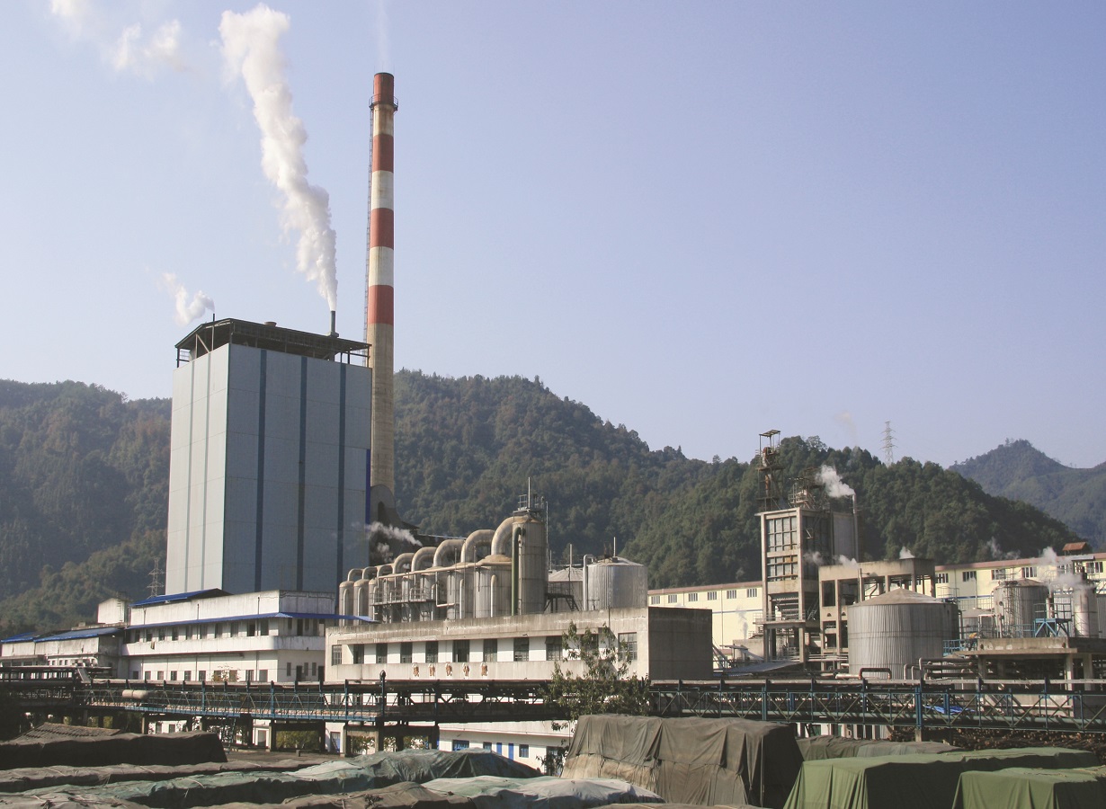 1青州造纸厂（省沉点工程建设先进单元）.jpg